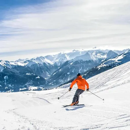 Lavish Nearby Tourist Attractions Διαμέρισμα Bad Gastein